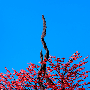 免费可以看黄的视屏的网站
