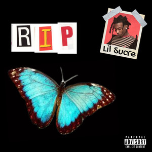 免费可以看黄的视屏的网站
