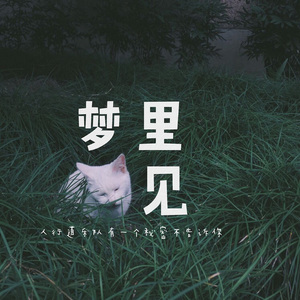 免费可以看黄的视屏的网站
