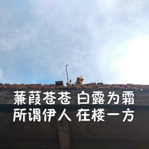 免费可以看黄的视屏的网站
